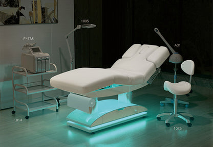 Massageliege Weiß mit Heizung & LED 4 Motoren L02255HL